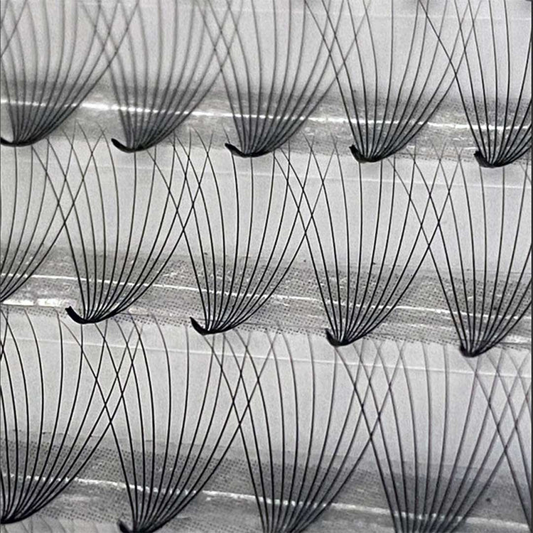 Dirty Little Secrets | 800 Fans Lash Extension Fans