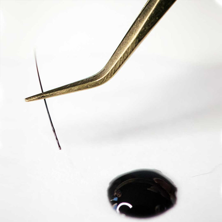 Infatuated | Sensitive Lash Extension Adhesive