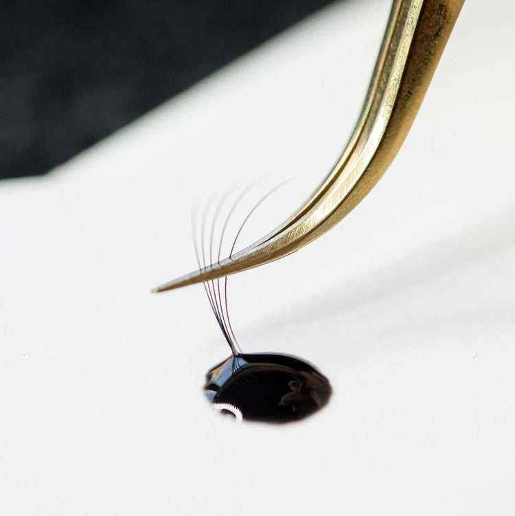 Infatuated | Sensitive Lash Extension Adhesive