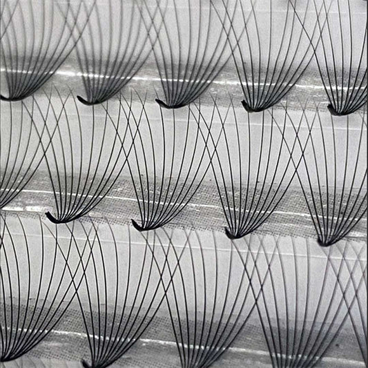 Dirty Little Secrets | 800 Fans Lash Extension Fans