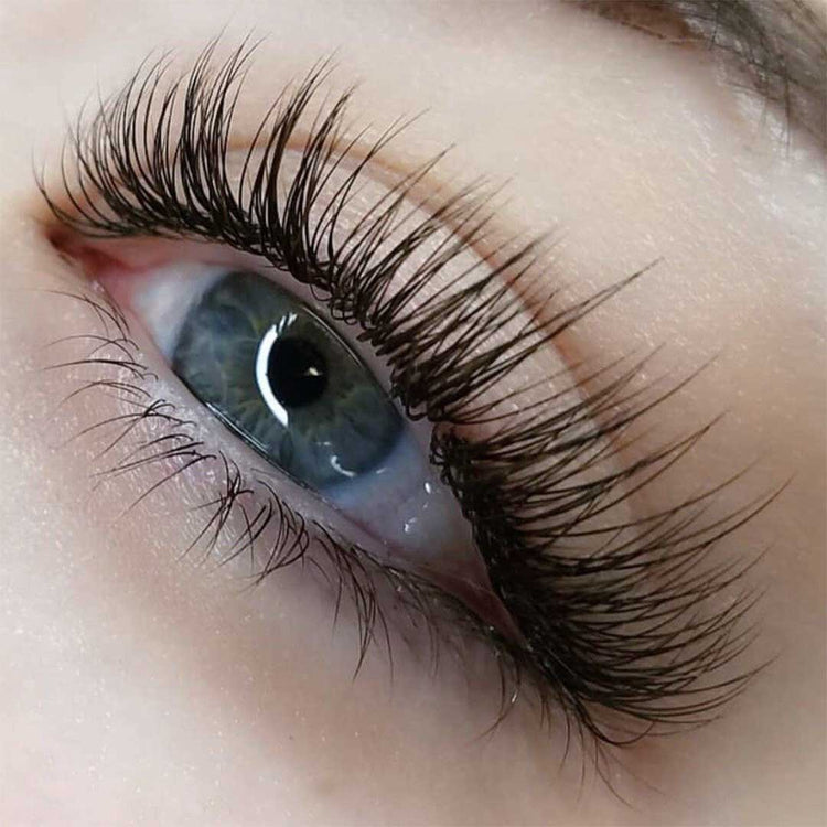 Luxury Ellipse Lash Extensions