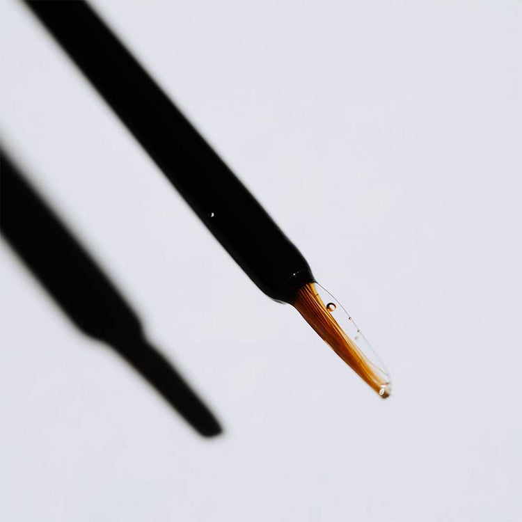 Lashgasm | Lash + Brow Serum